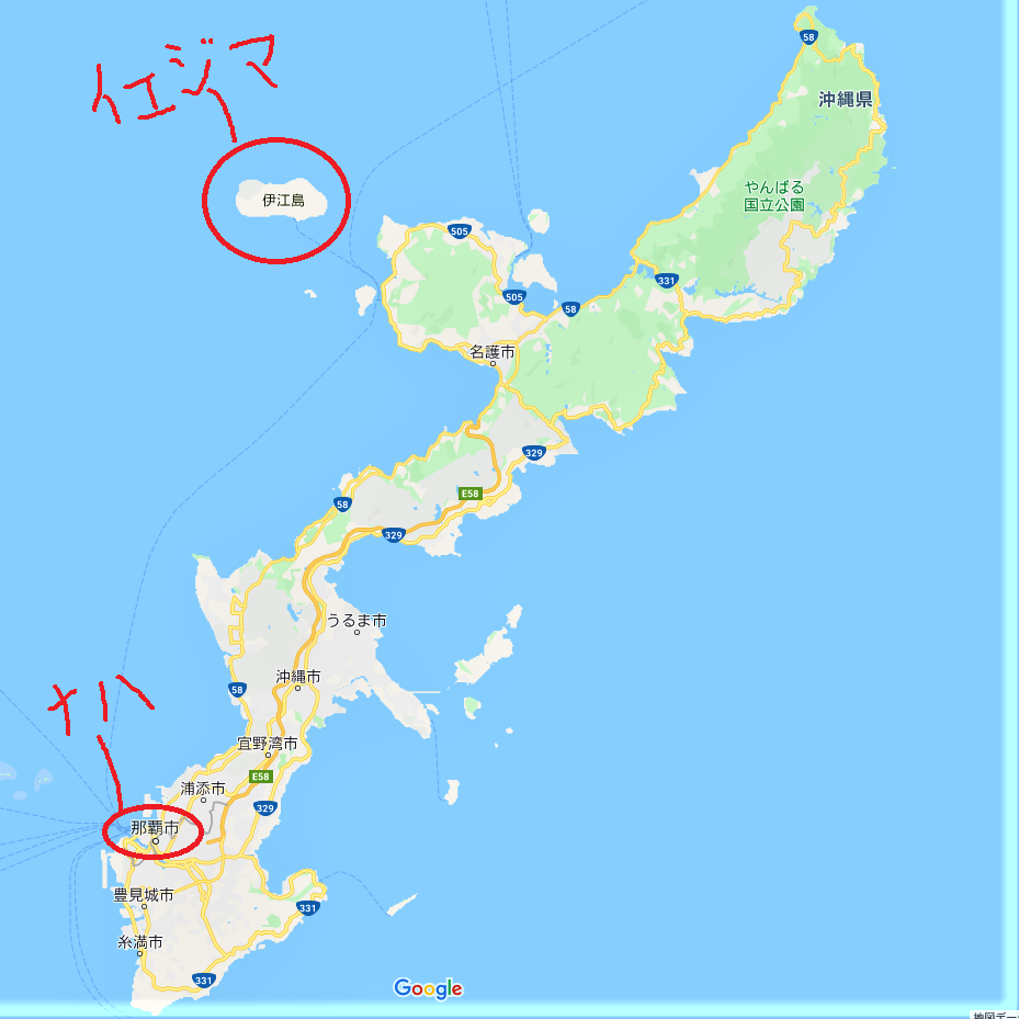 本部港から船で30分の離島 伊江島 黒しばわんこの戦跡ガイド