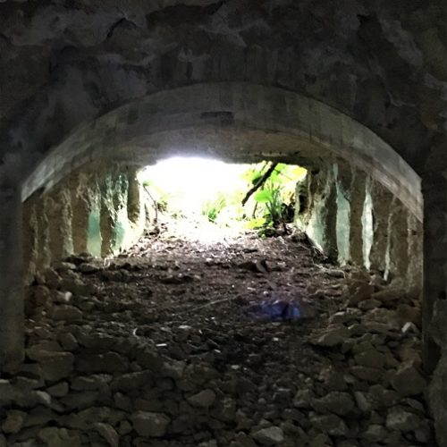 宮古島市平良西原に残る「ピンフ嶺野戦重火器砲壕」