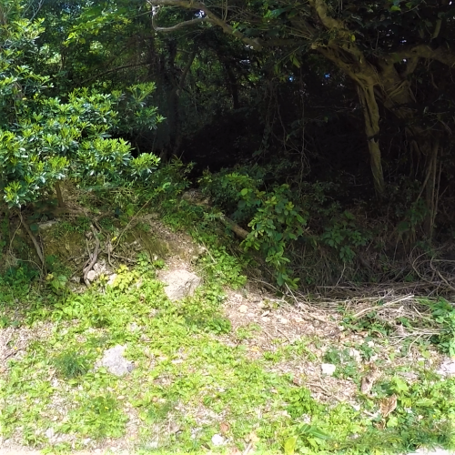 沖縄県南城市知念久手堅に残る「吉岡隊陣地壕(ウフグスク陣地壕)」 | 黒しばわんこの戦跡ガイド