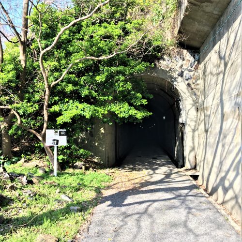 周南市大津島に残る「訓練基地へ続くトンネル」